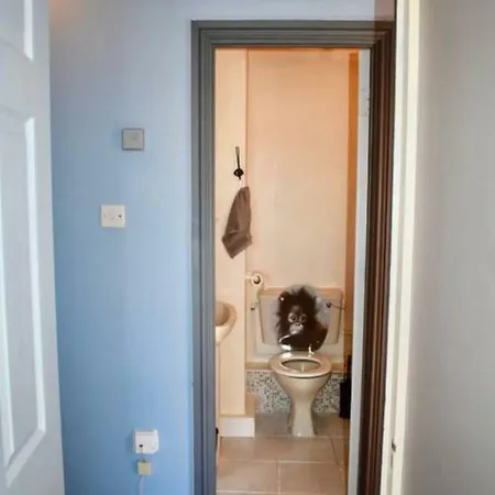 Apartment Charming 1 Bedroom Heart Of Dublin